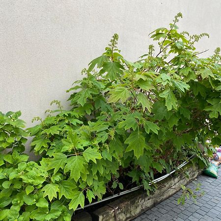 Périgny La Maison Du Canal De Rompsay - 5 Min De La Rochelle Bed & Breakfast エクステリア 写真