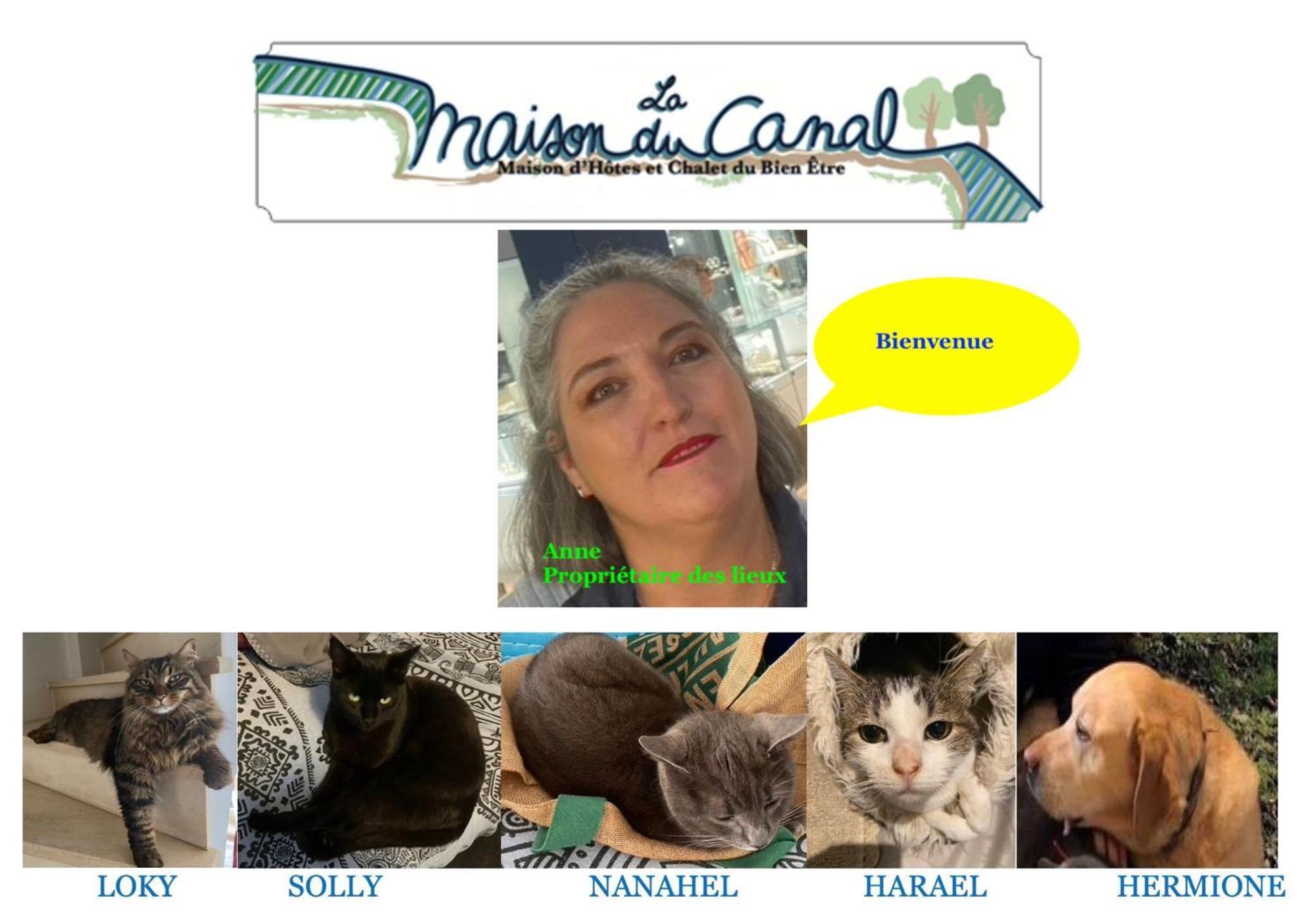 Périgny La Maison Du Canal De Rompsay - 5 Min De La Rochelle Bed & Breakfast エクステリア 写真